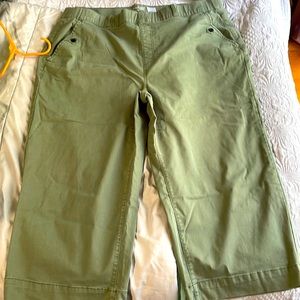 Brand new women’s green ankle length stretchy pants